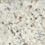 White2520Rose_g.jpg